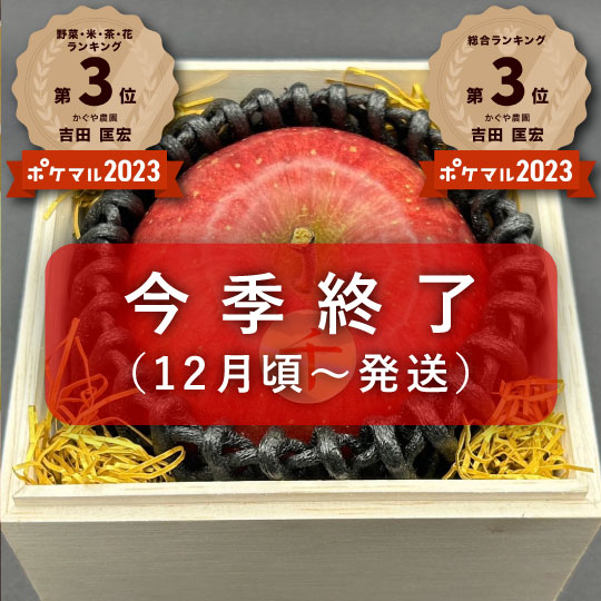 【送料込み】ブランドりんご「千」プレミアム 糖度16度保証