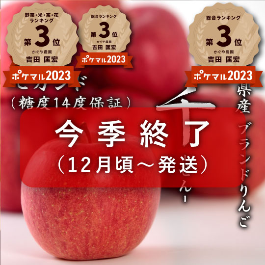 【最終売り尽くしSALE!】ブランドりんご「千」セカンド 糖度14度保証【送料込み】
