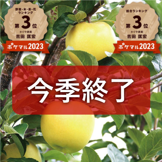 【送料込み】樹上完熟葉とらずシナノゴールド【甘酸っぱいりんご】