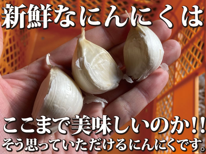 令和５年新物！青森県産にんにく 最高級品種ホワイト６片 家庭用バラ ...