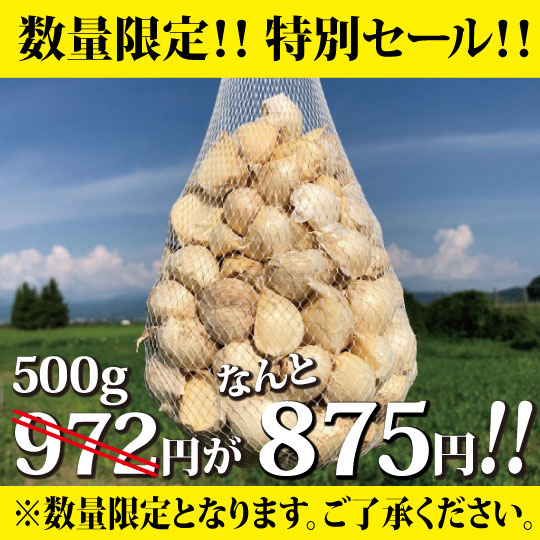 令和５年新物！青森県産にんにく 最高級品種ホワイト６片 家庭用バラ500g