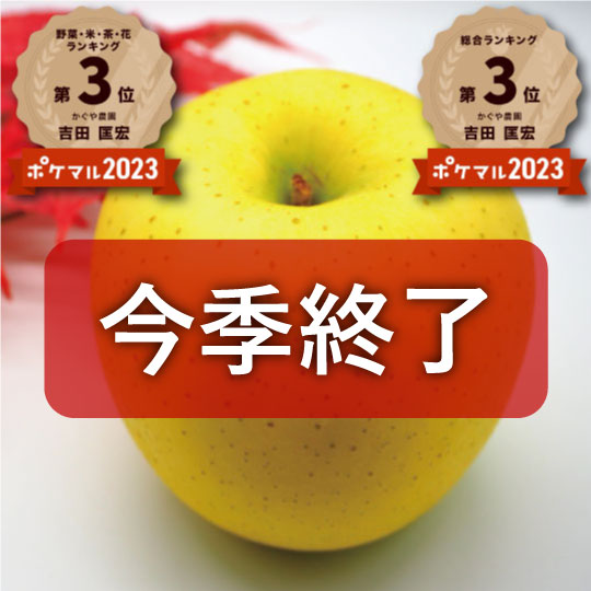 【洋梨みたいなレアりんご】青森県産りんご「樹上完熟葉とらず黄王」【8月下旬頃~発送】贈答用厳選品・家庭用厳選品