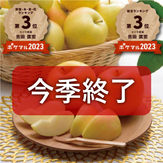 【果汁豊富で芳醇な香り】青森県産りんご「樹上完熟葉とらずトキ」