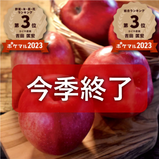 【毎年予約完売りんご】青森県産「樹上完熟葉とらずジョナゴールド」