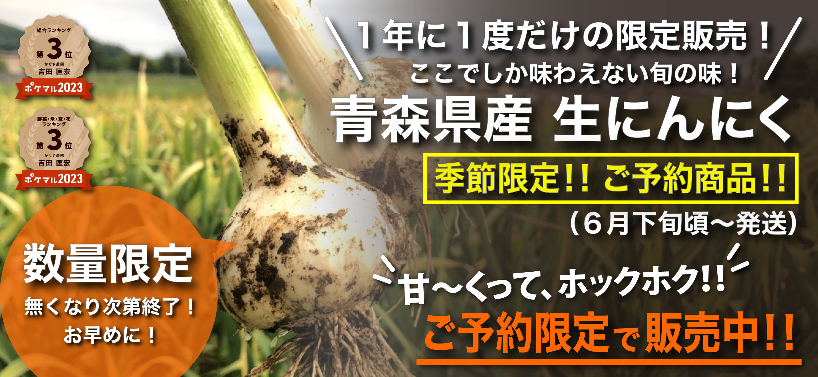 かぐや農園の青森県産生にんにく